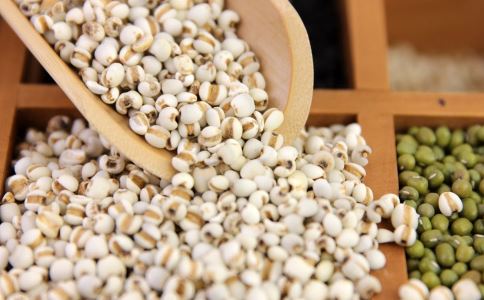 薏米粥怎么吃可以减肥 薏米减肥食谱有哪些 吃薏米可以减肥吗