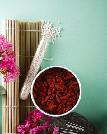 减肥 食物减肥 山楂能减肥吗