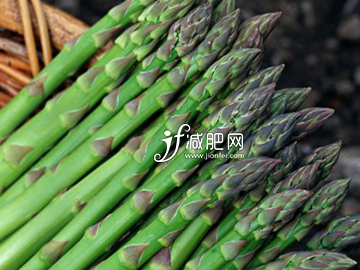 春节前吃什么瘦肚腩 芦笋