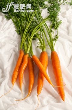 食品,农业,胡萝卜,串,摄影_562332373_A bunch of carrots with white background_创意图片_Getty Images China 食品,农业,胡萝卜,串,摄影_562332373_A bunch of carrots with white background_创意图片_Getty Images China