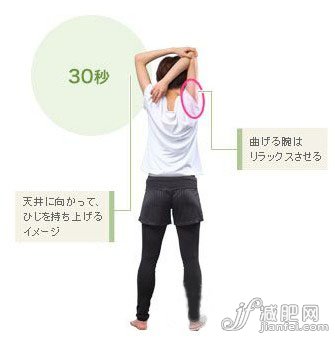 直面脂肪挑战 2周身体大改造