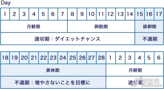 魔术减肥2周 突然年轻10岁