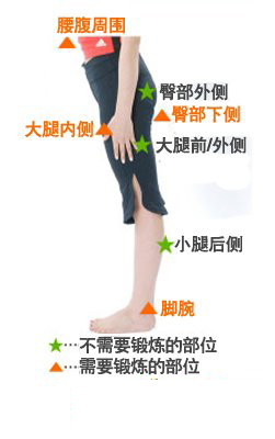 肌肉，走路，减肥，运动