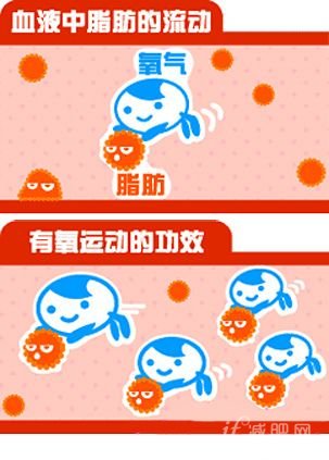 有氧运动，脂肪，运动，减肥