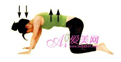 简易减肥操击破各种肥胖问题