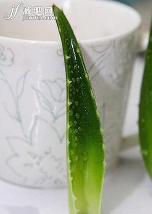 芦荟菜谱