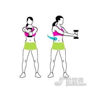 夏日哑铃操 塑造性感纤细腰