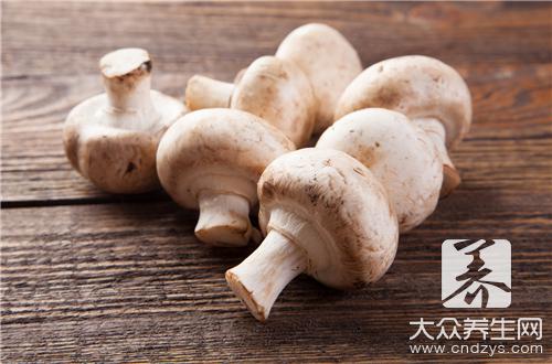 平菇汤做法大全包括哪几种？