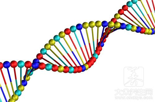 小孩为什么不能吃蚕豆？这几类人需禁忌