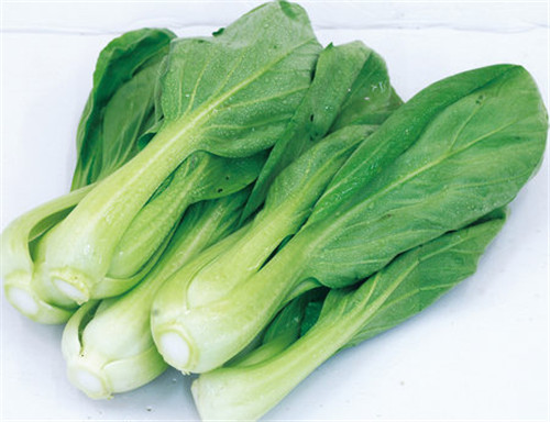 怀孕可以吃小白菜吗