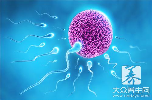 男性吃什么食物最补精子？(1)