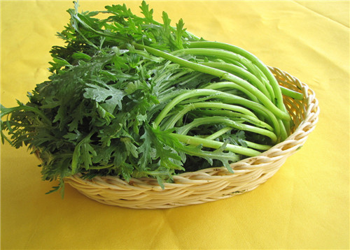 怀孕可以吃茼蒿吗