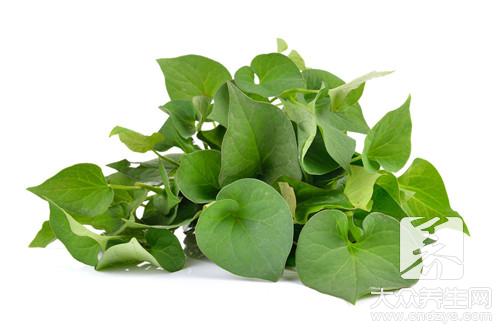 鱼腥草怎么做好吃？