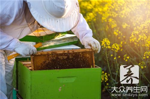 蜂巢的药用价值和营养