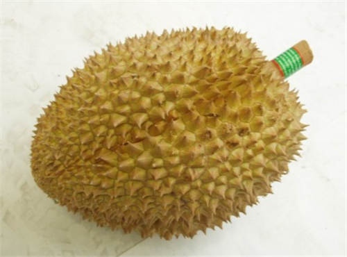 怀孕可以吃榴莲壳吗