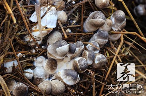 凉拌金针菇做法大全怎么做呢？