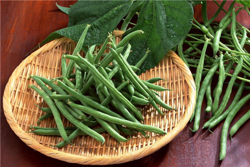 怀孕可以吃芸豆吗