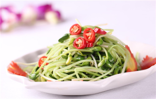 怀孕可以吃芽菜吗