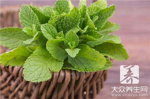 薄荷的几种功效，你知道几种？