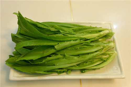 怀孕可以吃油麦菜吗