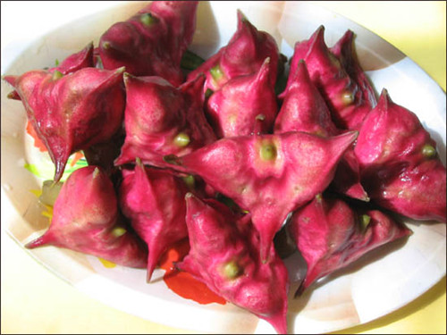怀孕可以吃菱角吗