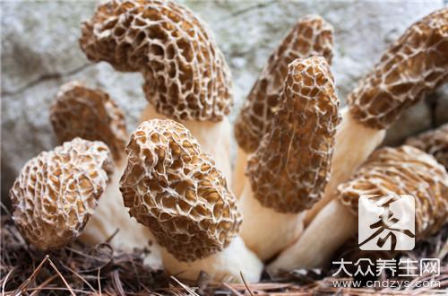 羊肚菌怎么做好吃