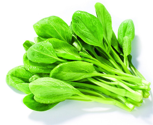 怀孕可以吃鸡毛菜吗