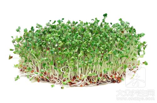 炒黄豆芽的做法