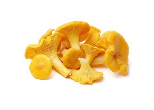 怀孕可以吃鸡油菌吗