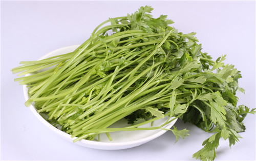 怀孕可以吃芹菜吗