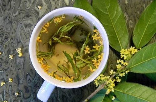 怀孕可以吃桂花茶吗