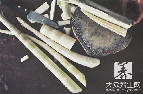笋的做法大全