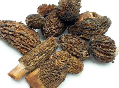 怀孕可以吃羊肚菌吗