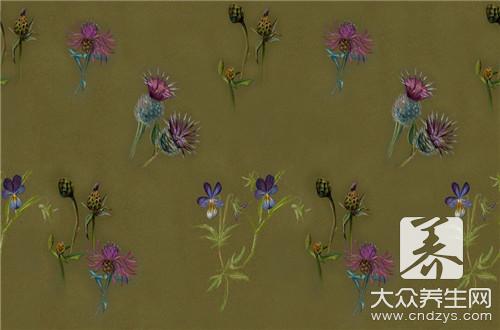 牛蒡怎么吃呢？