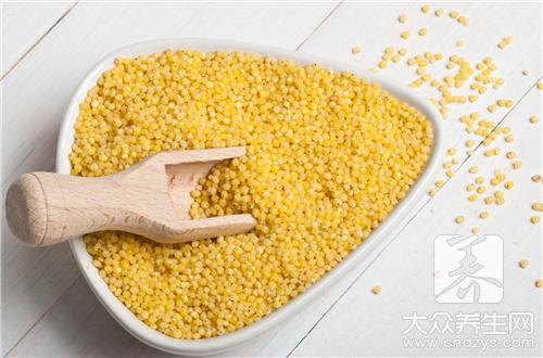 黄小米功效作用与食用方法
