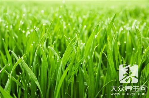 仙草蜜是什么
