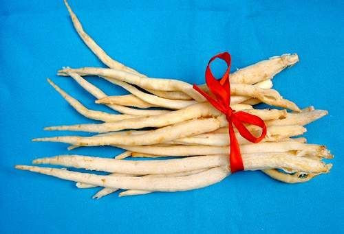 怀孕可以吃沙参吗