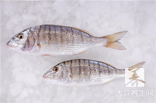 八带鱼做法是什么