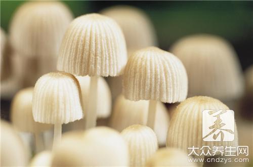 茶树菇炖鸡汤的做法