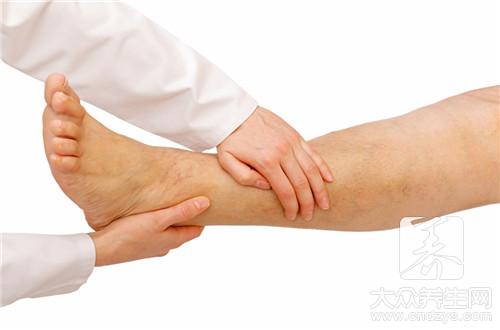 牵牛花种子功效大全