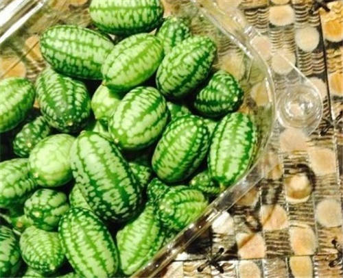 怀孕可以吃小西瓜吗