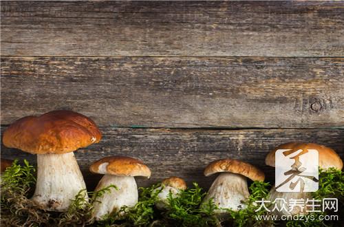 采蘑菇这些秘密你知道吗