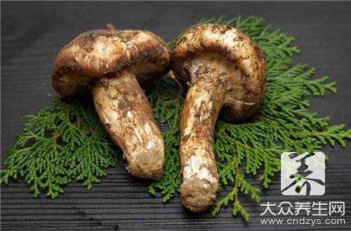 白烨茸食用方法有哪些