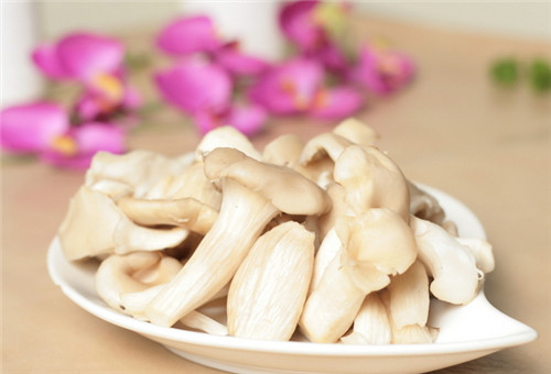 怀孕可以吃平菇吗