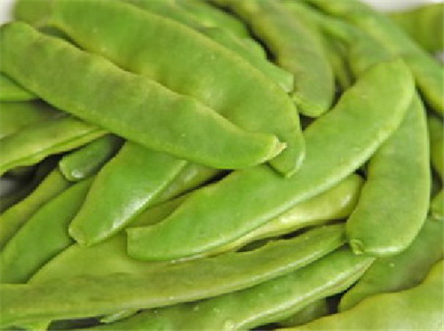 怀孕可以吃扁豆吗
