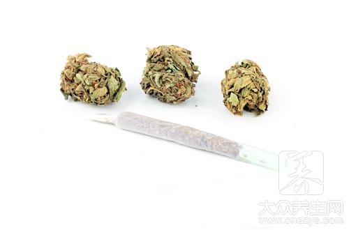 槐花蜜的功效