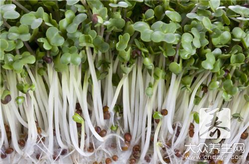 豆牙菜最家常的做法