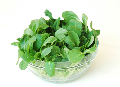 怀孕可以吃油菜吗