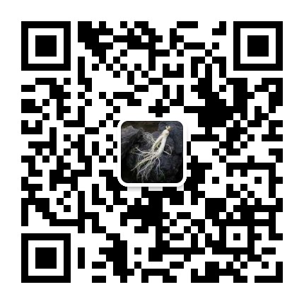 不知道这几点，你就别买人参