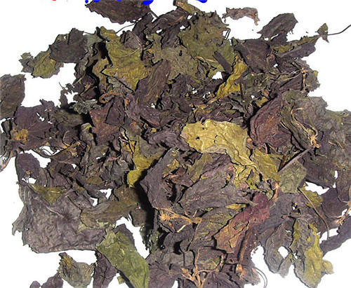怀孕可以吃紫苏吗